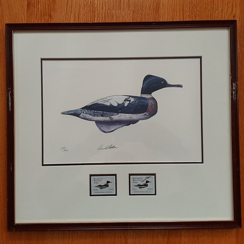 1993 Massachusetts Waterfowl Duck Stamp Print #138/400 by Donald Little Signed
